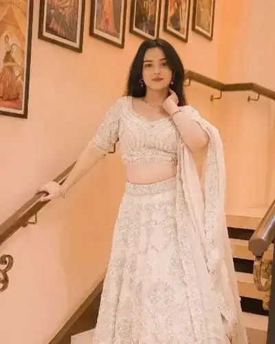 Escort Service In Belpahar